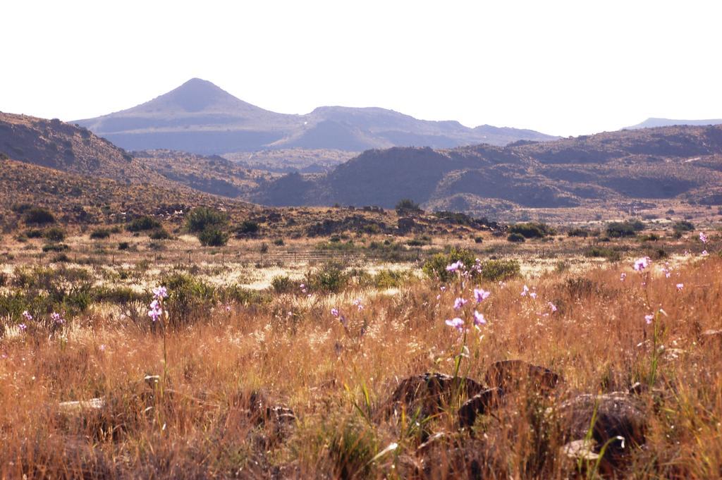 Willa The Vale Karoo Farm Nelspoort Zewnętrze zdjęcie